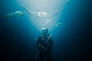 Titanium knifes are essential gear for diving