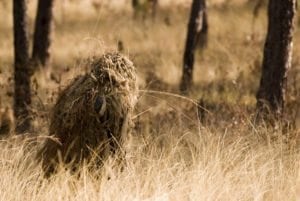 Ghillie suits help the wearer blend into the environment by incorporating local materials.