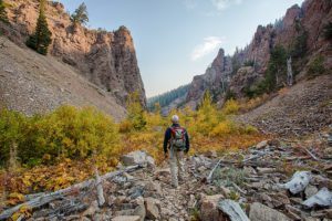 Survival tips are crucial for the wilderness